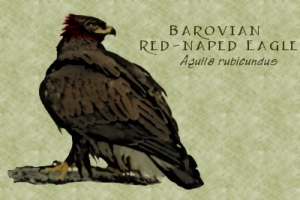 Barovian Red-Naped Eagle