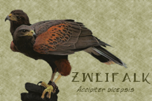 Falkovnian Zweifalk