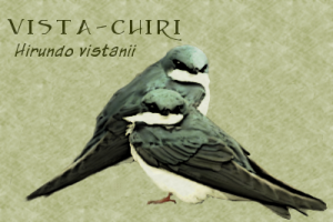 Vista-Chiri